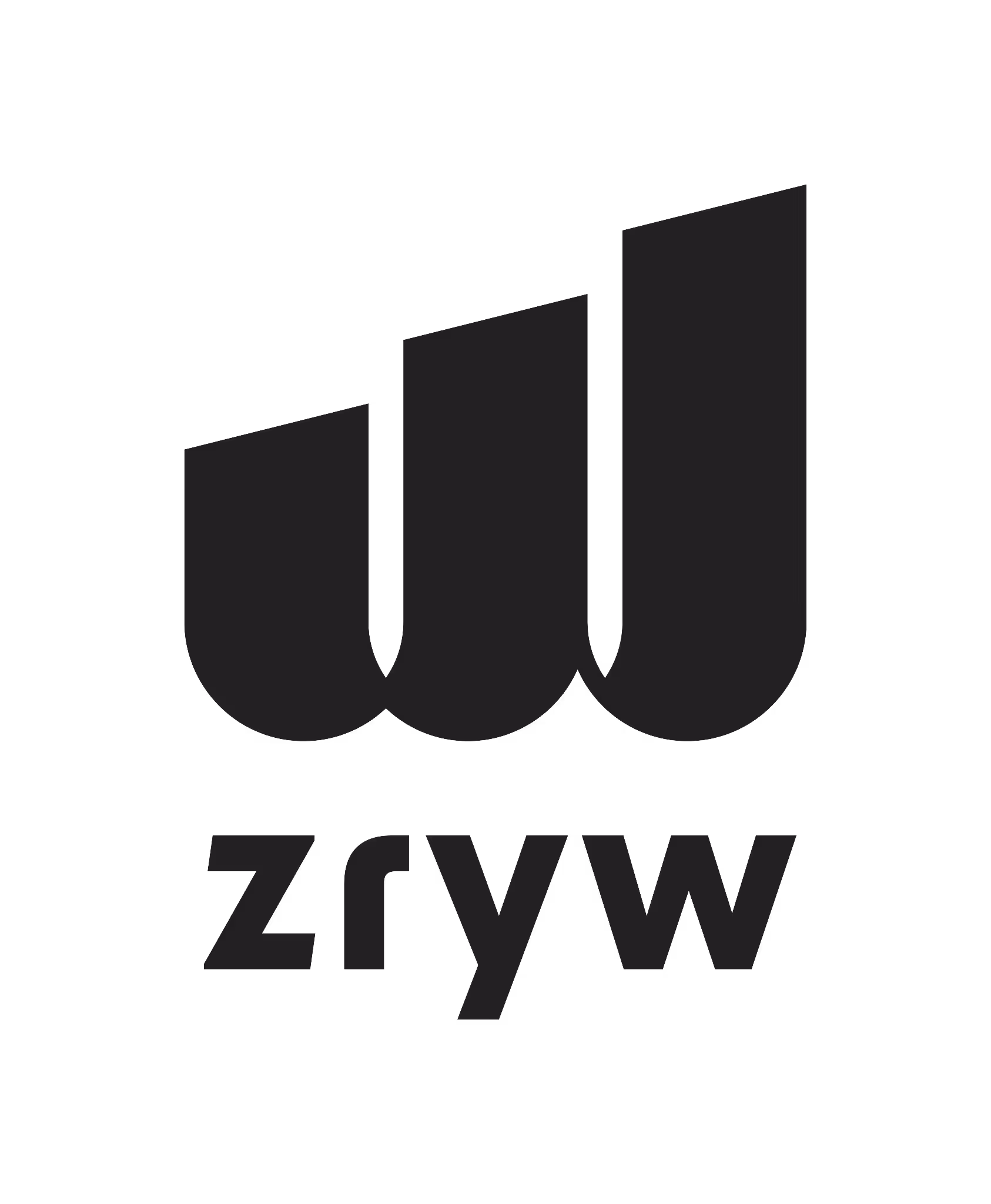 Fundacja Zryw logo